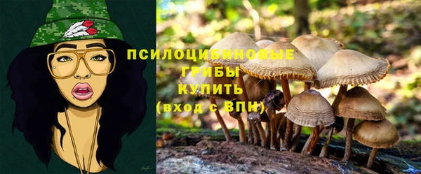 бутират Алексеевка